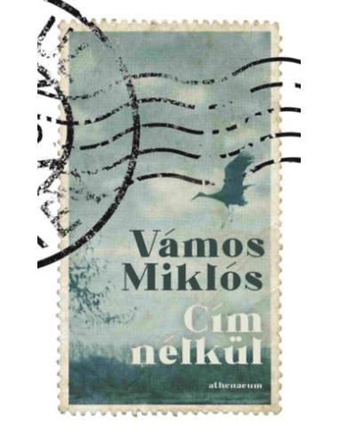 Cím nélkül