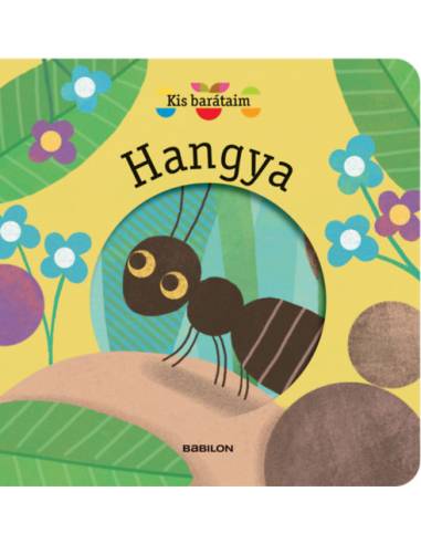 Kis barátaim - Hangya
