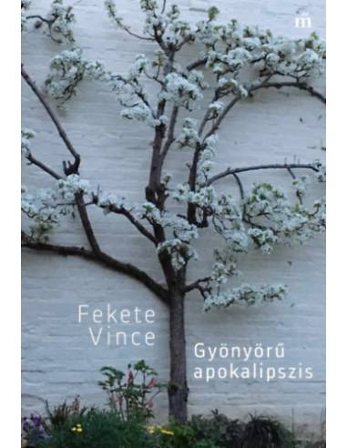 Gyönyörű apokalipszis