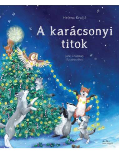 A karácsonyi titok