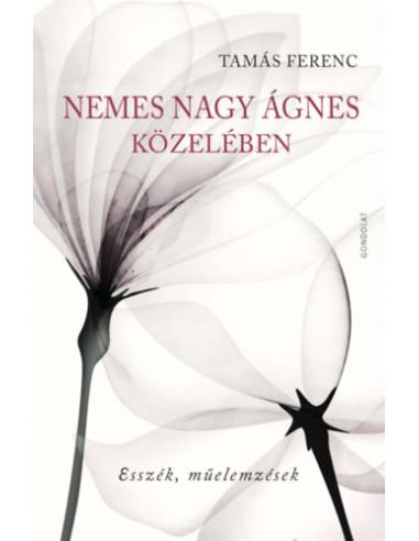 Nemes Nagy Ágnes közelében