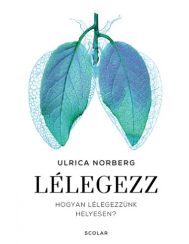 Lélegezz - Hogyan lélegezzünk helyesen?