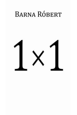 1 × 1