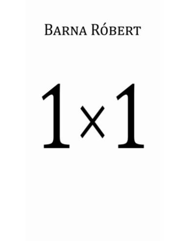 1 × 1