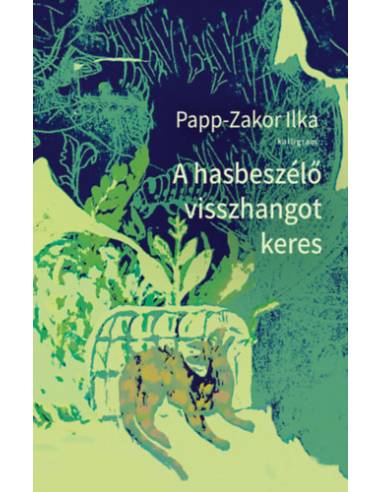 A hasbeszélő visszhangot keres
