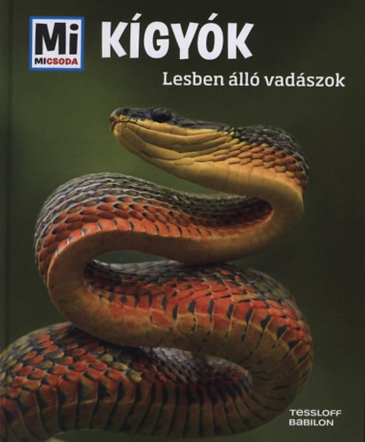Kígyók - Lesben álló vadászok - Nicolai Schirawski