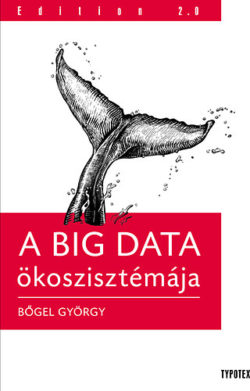 A Big Data ökoszisztémája - Bőgel György