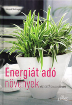 Energiát adó szobanövények - Irmgard Brottrager