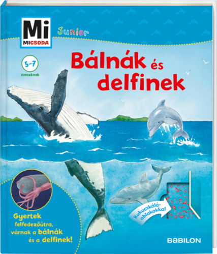Bálnák és delfinek - Mi Micsoda Junior 25. - Elisabeth Kiefmann