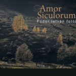 Amor Siculorum - Fodor István fotói - Fodor István