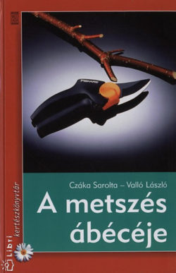 A metszés ábécéje - Valló László; Czáka Sarolta