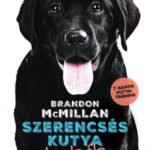 Szerencsés kutya leckék - Brandon Mcmillan