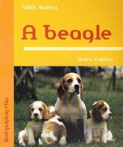 A beagle - Pallós Andrea