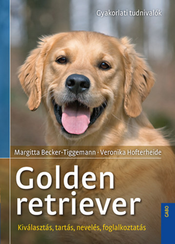 Golden retriever - Margitta Becker-Tigermann