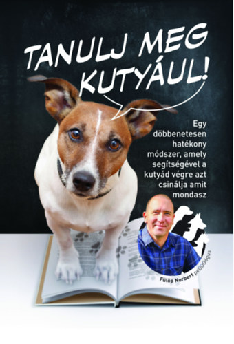 Tanulj meg kutyául! - Fülöp Norbert