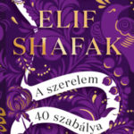 A szerelem 40 szabálya - Elif Shafak