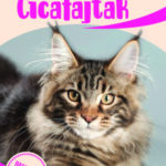 Cicafajták - A világ különleges macskái -