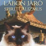 A négy lábon járó spiritualizmus - A Dalai Láma Macskája - David Michie
