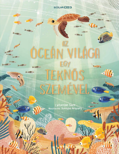 Az óceán világa egy teknős szemével - Catherine Barr