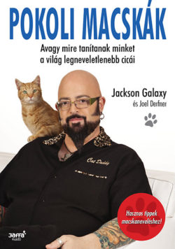 Pokoli Macskák - Avagy mire tanítanak minket a világ legkomiszabb cicái - Jackson Galaxy
