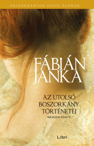 Az utolsó boszorkány történetei - Második könyv - Fábián Janka