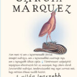 A világ legszebb vízihullája - Válogatott novellák - Gabriel García Márquez