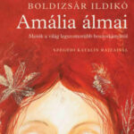 Amália álmai - Mesék a világ legszomorúbb boszorkányáról - Boldizsár Ildikó