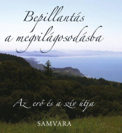 Bepillantás a megvilágosodásba - Az erő és a szív útja - Samvara