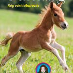 Kiscsillag - Rég várt táborozás - Tilly lovas történetei 5. - Pippa Funnell