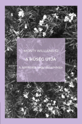 A hűség útja - A spirituális vágy dinamikája - Monty Williams SJ
