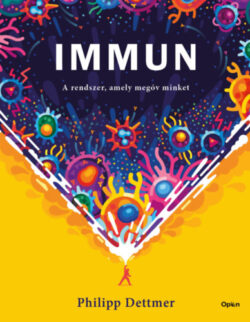Immun - A rendszer