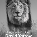 Hogyan fotózok én - David Yarrow - David Yarrow
