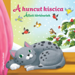 A huncut kiscica - Állati történetek - Miroslawa Kwiecinska