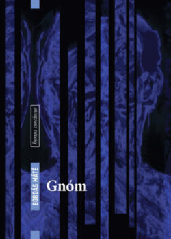 Gnóm - Bordás Máté