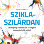 Sziklaszilárdan - Szabadulj meg a szédüléstől és a fülzúgástól a neuroplaszticitás erejével - Joey Remenyi