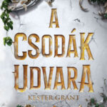 A csodák udvara - Kester Grant