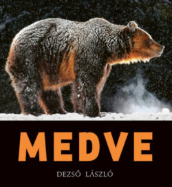 MEDVE - Dezső László