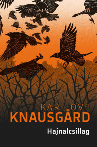 Hajnalcsillag - Karl Ove Knausgard