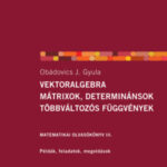 Vektoralgebra; mátrixok