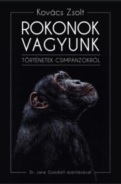 Rokonok vagyunk - Történetek csimpánzokról - Kovács Zsolt