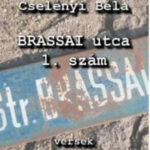 A Brassai utca 1. szám - Cselényi Béla