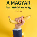 A magyar banánköztársaság - Csillag István