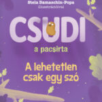 Csudi