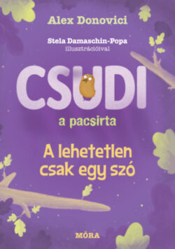 Csudi