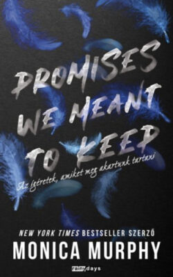 Promises We Meant to Keep - Az ígéretek