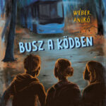 Busz a ködben - Wéber Anikó