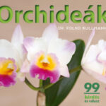 Orchideák - 99 kérdés és válasz - Dr. Folko Kullmann