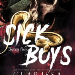 Sick boys - Beteg fiúk - Clarissa Wild