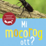 Mi mocorog ott? - Rovarok