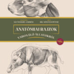 Anatómiai rajzok vadon élő állatokról - Európa - Sótonyi Péter (szerkesztő)